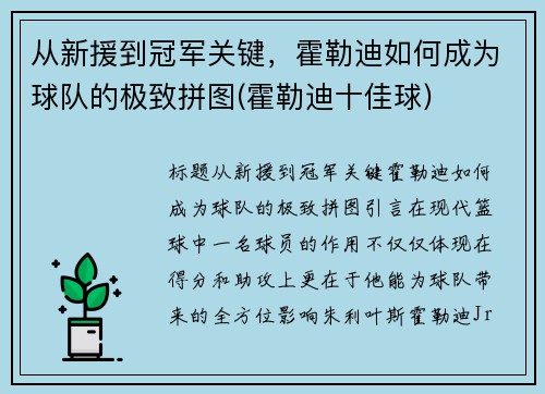 从新援到冠军关键，霍勒迪如何成为球队的极致拼图(霍勒迪十佳球)