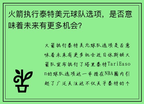 火箭执行泰特美元球队选项，是否意味着未来有更多机会？