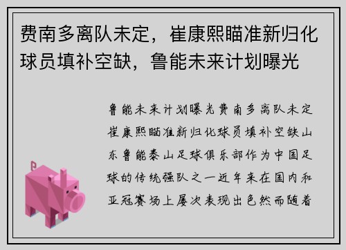 费南多离队未定，崔康熙瞄准新归化球员填补空缺，鲁能未来计划曝光