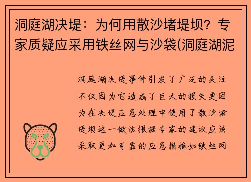 洞庭湖决堤：为何用散沙堵堤坝？专家质疑应采用铁丝网与沙袋(洞庭湖泥沙)